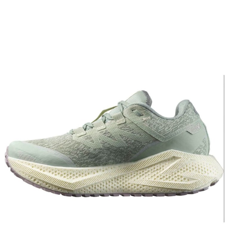 Кросівки Salomon Aero Glide 3 Grvl W - сині