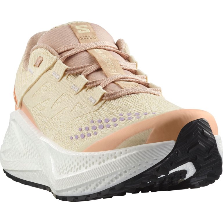 Кросівки Salomon Aero Glide 3 Grvl W - бежеві