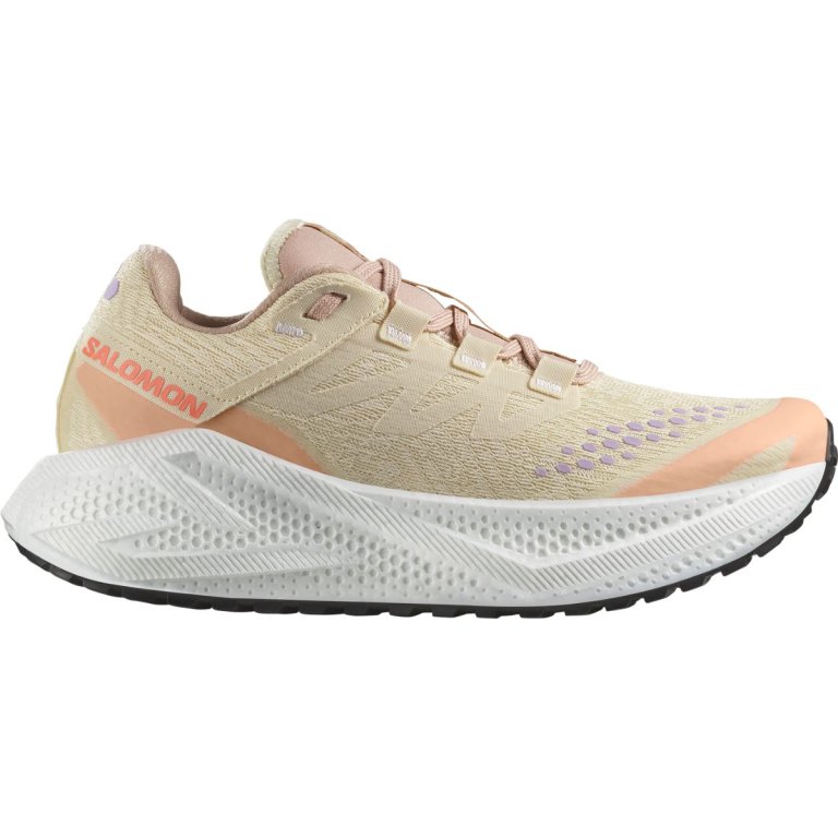 Кросівки Salomon Aero Glide 3 Grvl W - бежеві