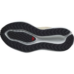 Кросівки Salomon Aero Glide 3 Grvl W - бежеві