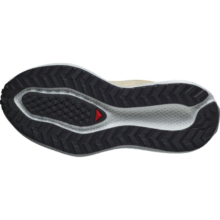 Кросівки Salomon Aero Glide 3 Grvl W - бежеві