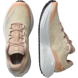 Кросівки Salomon Aero Glide 3 Grvl W - бежеві