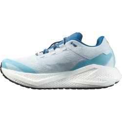 Кросівки Salomon Aero Glide 3 Grvl M - сині