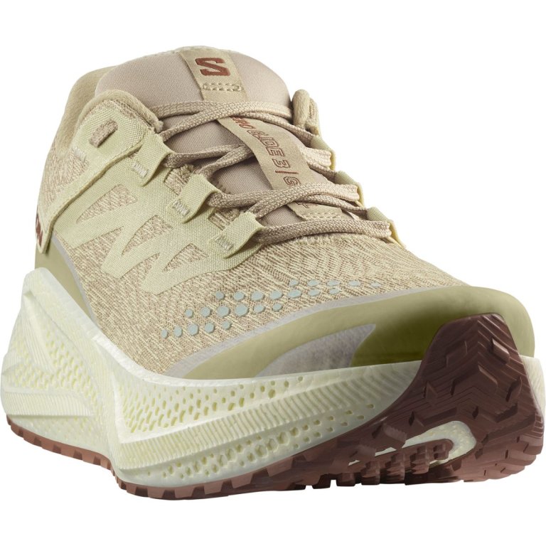 Кросівки Salomon Aero Glide 3 Grvl M - бежеві