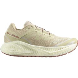 Кросівки Salomon Aero Glide 3 Grvl M - бежеві