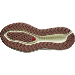 Кросівки Salomon Aero Glide 3 Grvl M - бежеві