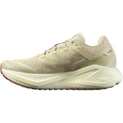 Кросівки Salomon Aero Glide 3 Grvl M - бежеві