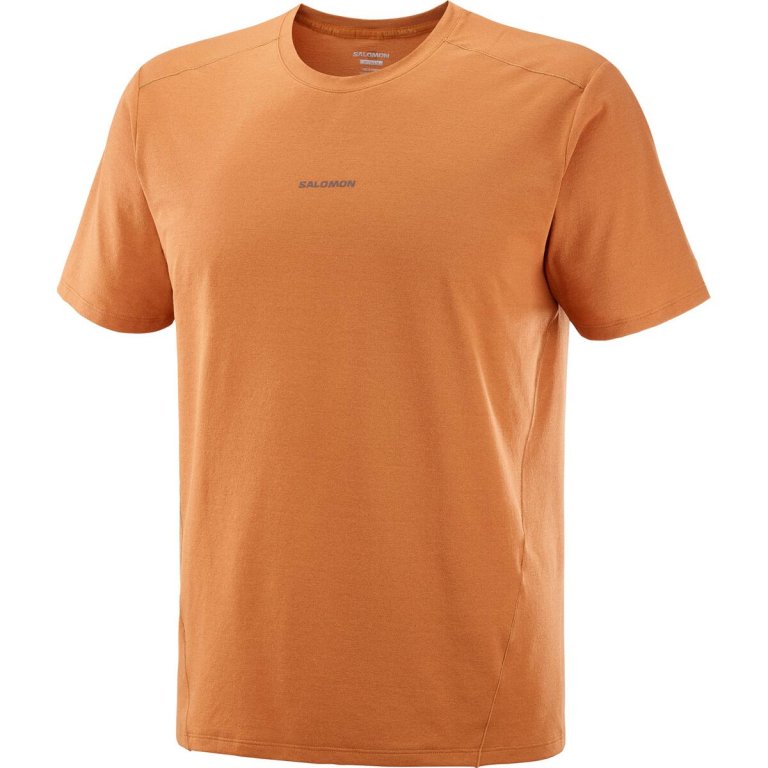 Футболка Salomon Trackline SS Tee M - помаренчева
