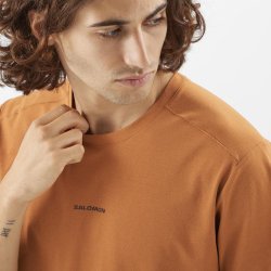 Футболка Salomon Trackline SS Tee M - помаренчева