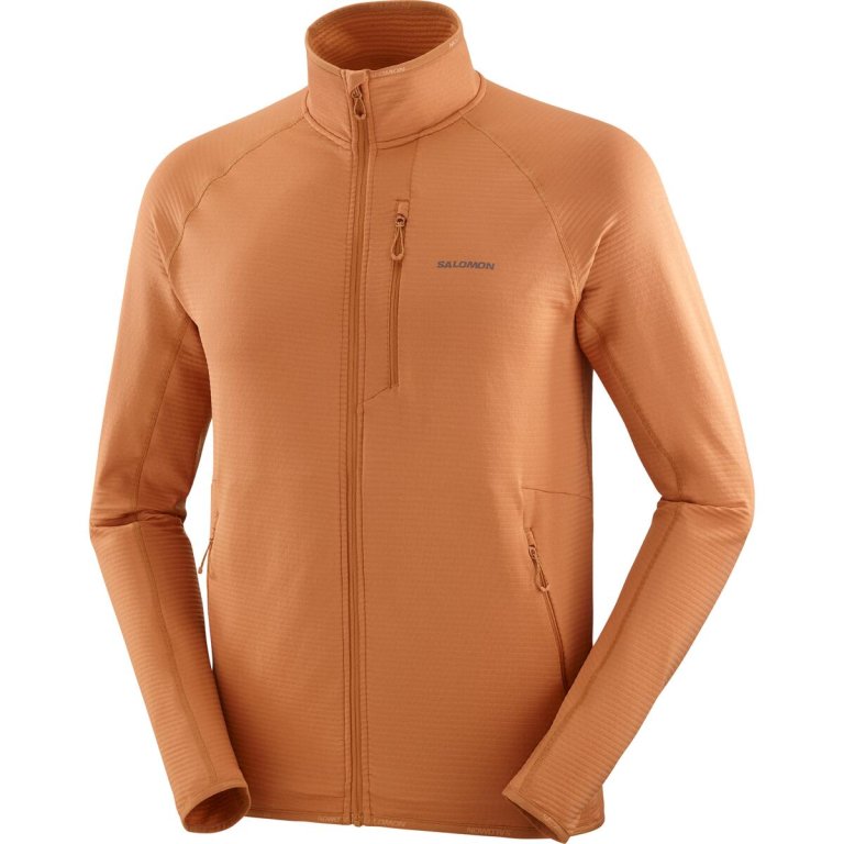 Світшот Salomon Essential Lightwarm FZ M - коричневий