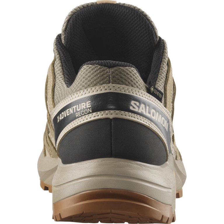 Кросівки Salomon X-Adventure Recon GTX W - бежеві
