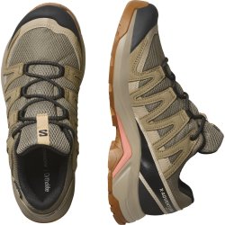 Кросівки Salomon X-Adventure Recon GTX W - бежеві