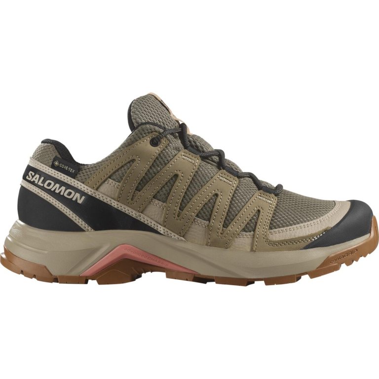 Кросівки Salomon X-Adventure Recon GTX W - бежеві
