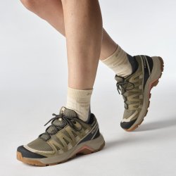 Кросівки Salomon X-Adventure Recon GTX W - бежеві