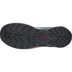 Кросівки Salomon Xa Meta MIF M - сині