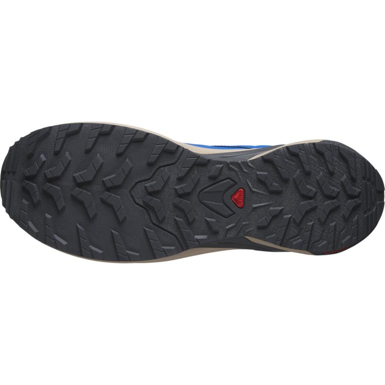 Кросівки Salomon Xa Meta MIF M - сині