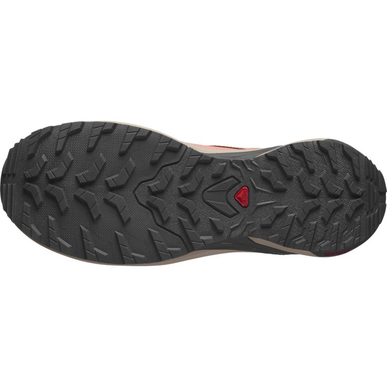 Кросівки Salomon Xa Meta MIF W - рожево/чорні