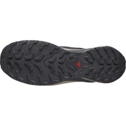 Кросівки Salomon Xa Meta GTX MIF M - сірі