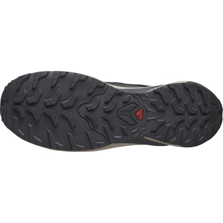 Кросівки Salomon Xa Meta GTX MIF M - сірі
