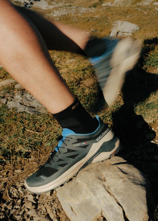 Кросівки Salomon Xa Meta GTX MIF M - сірі