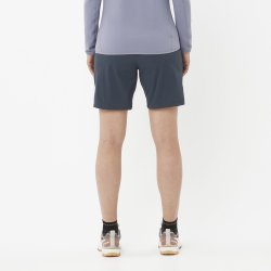 Шорти Salomon Wayfarer W - сині