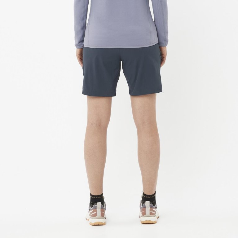 Шорти Salomon Wayfarer W - сині