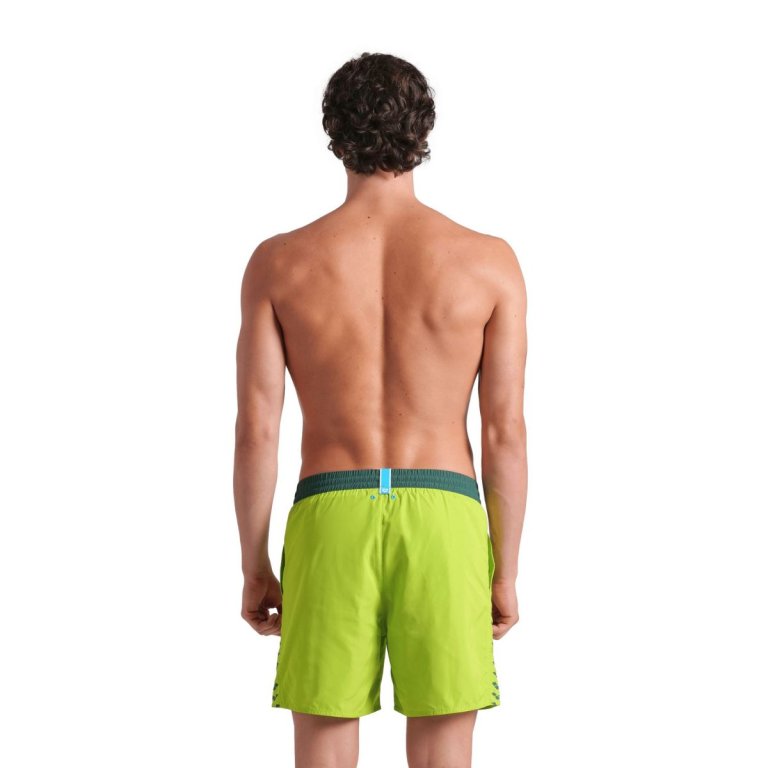 Plavky Arena Team Stripe Beach Boxer M - zelená