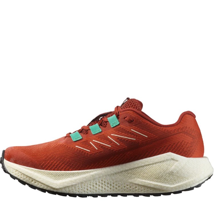 Кросівки Salomon Aero Blaze 3 Grvl W - червоні