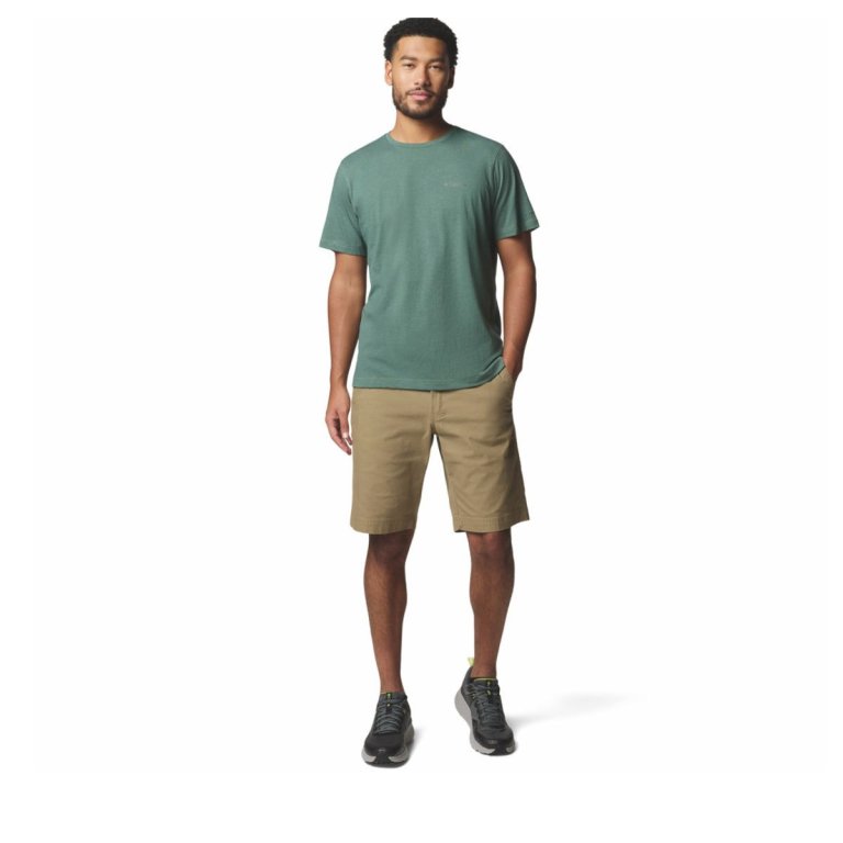 Футболка Columbia Thistletown Hills™ Short Sleeve M - зелено/синя