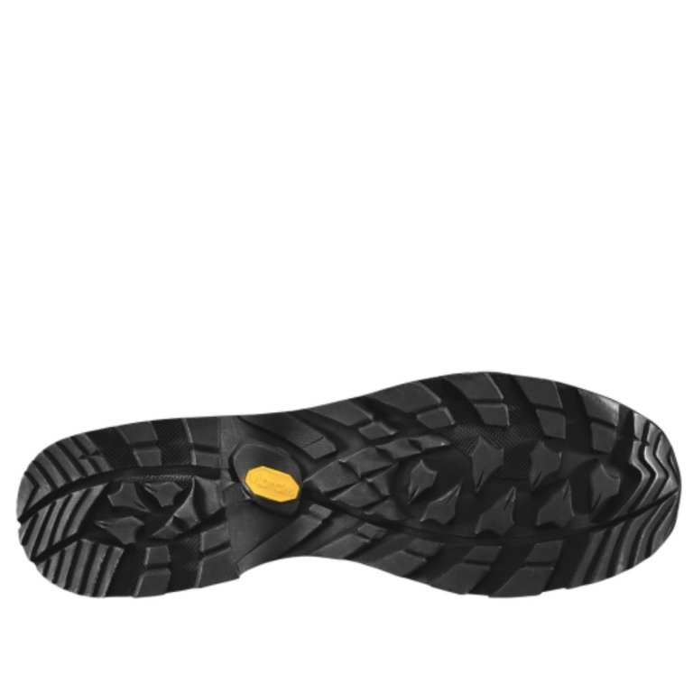 Obuv Lowa Camino Evo GTX M - hnědá