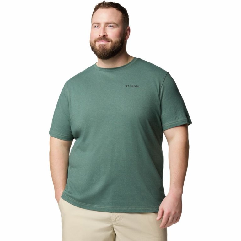 Футболка Columbia Thistletown Hills™ Short Sleeve M (великий розмір) - зелена