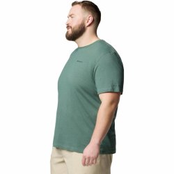 Футболка Columbia Thistletown Hills™ Short Sleeve M (великий розмір) - зелена