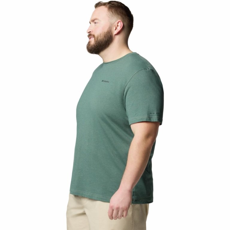 Футболка Columbia Thistletown Hills™ Short Sleeve M (великий розмір) - зелена