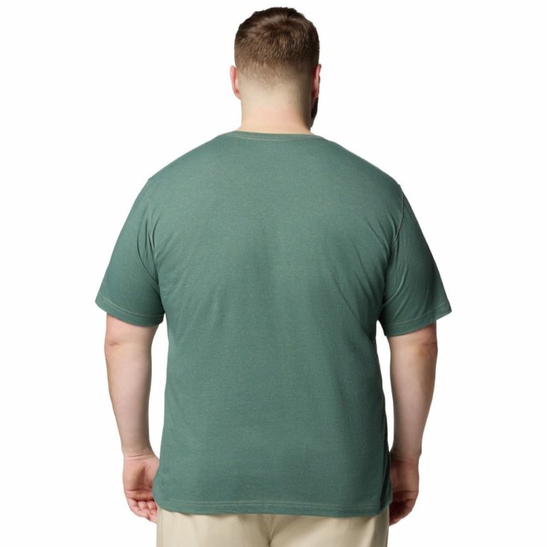 Футболка Columbia Thistletown Hills™ Short Sleeve M (великий розмір) - зелена
