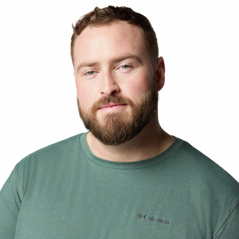 Футболка Columbia Thistletown Hills™ Short Sleeve M (великий розмір) - зелена