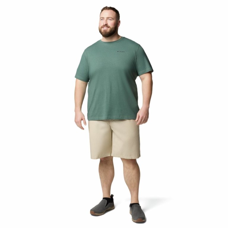 Футболка Columbia Thistletown Hills™ Short Sleeve M (великий розмір) - зелена