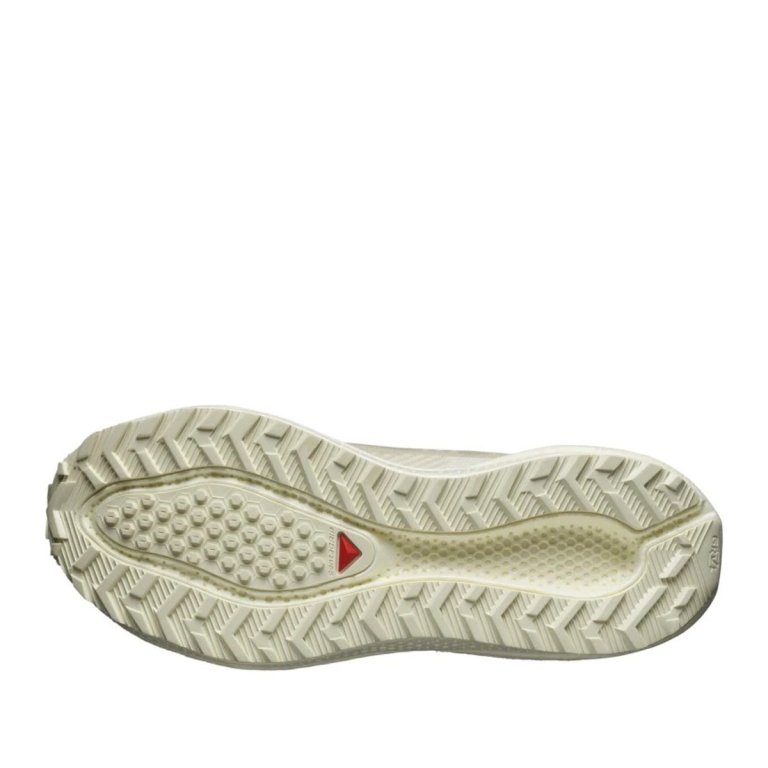 Кросівки Salomon Aero Blaze 3 Grvl W - бежеві