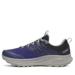 Saucony Ride TR2 GTX M - синя