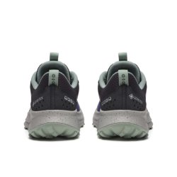 Saucony Ride TR2 GTX M - синя