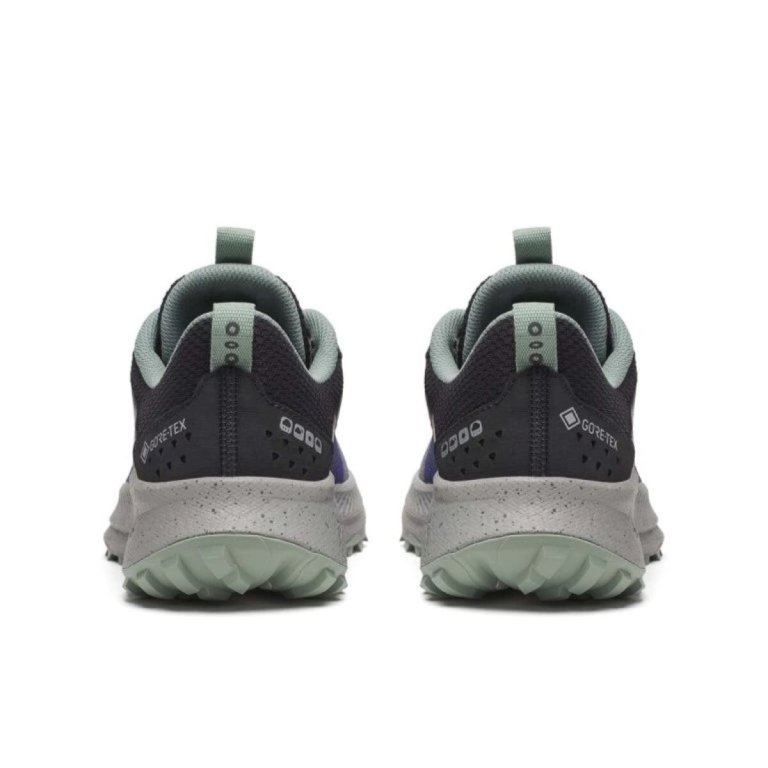 Saucony Ride TR2 GTX M - синя
