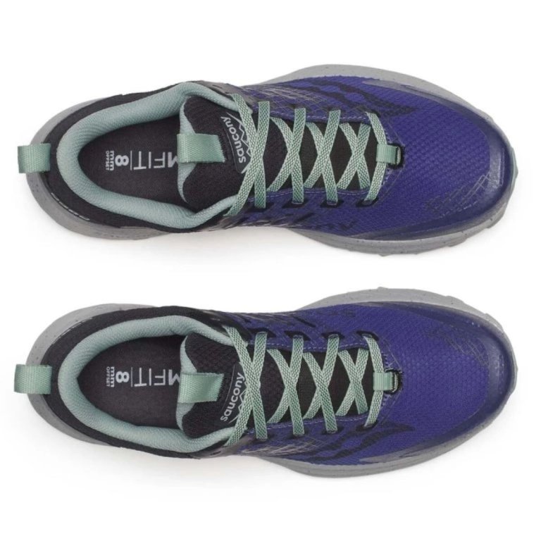 Saucony Ride TR2 GTX M - синя