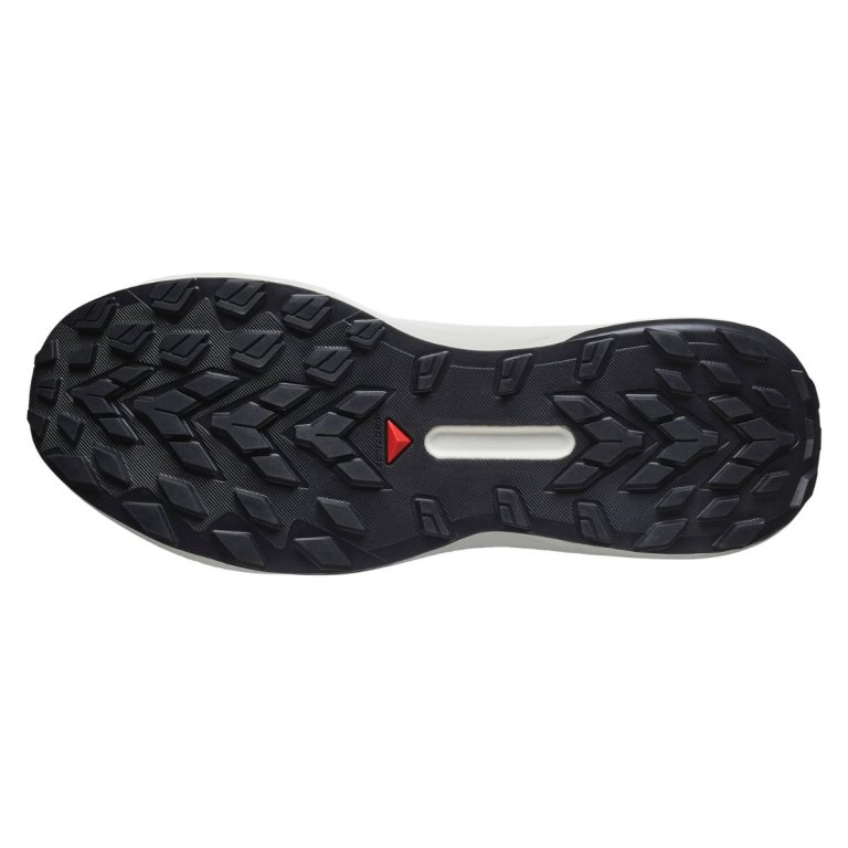 Кросівки Salomon Genesis M - білий/синій