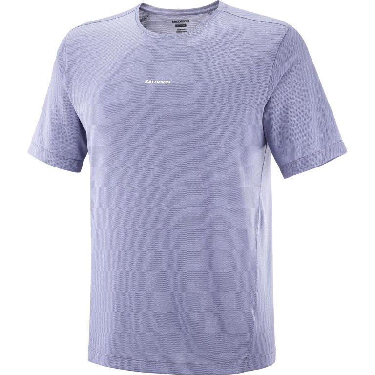 Футболка Salomon Pro Tee M - синя