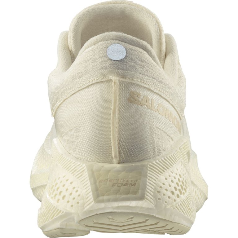 Кросівки Salomon Aero Glide 3 W - бежеві