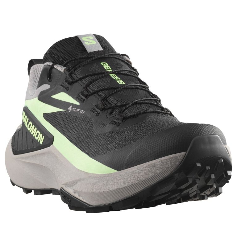 Кросівки Salomon Genesis GTX W - сіро/зелені