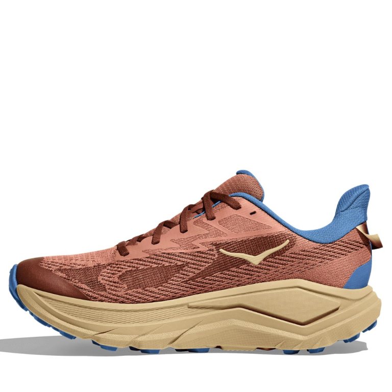 Кросівки Hoka Challenger 8 Wide M - коричнево/жовті
