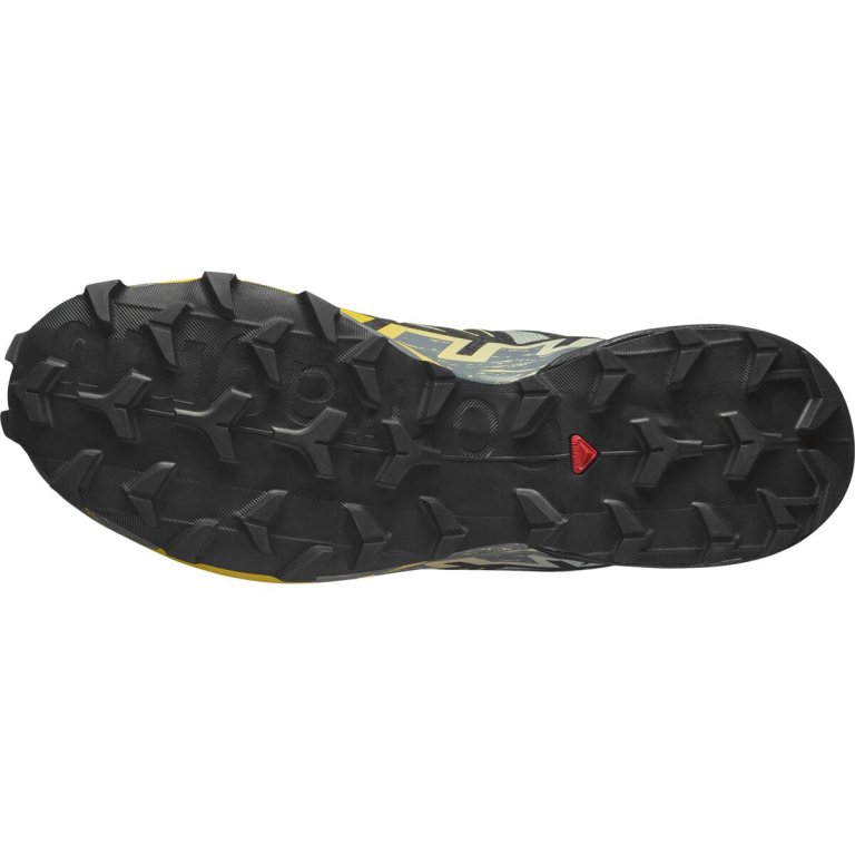 Кросівки Salomon Speedcross 6 M - сіро/чорно/жовті