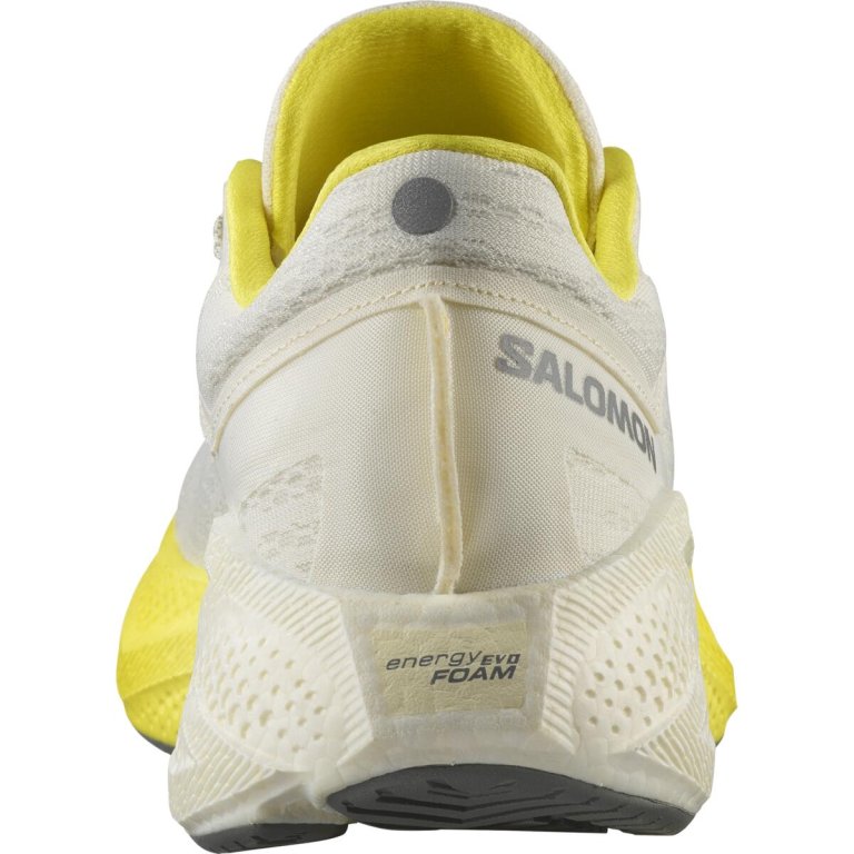 Кросівки Salomon Aero Glide 3 M - біло/жовті