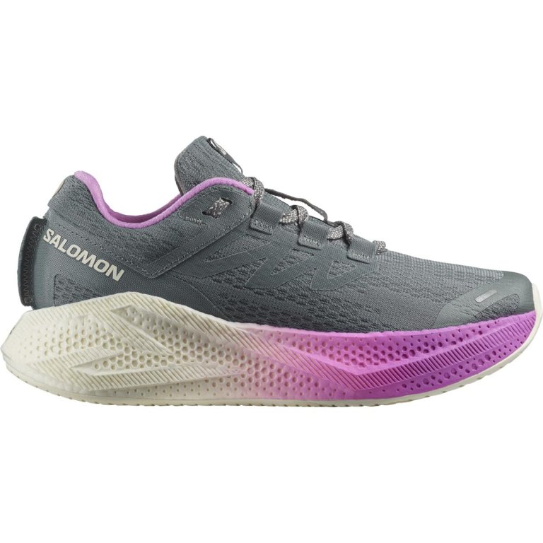 Кросівки Salomon Aero Glide 3 W - сіро/рожеві