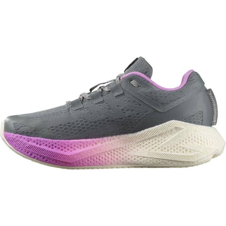 Кросівки Salomon Aero Glide 3 W - сіро/рожеві